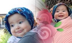 Minik Gökçe'nin Doğa Gezisi Sosyal Medyada Büyük İlgi Gördü