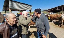 Mudurnu'da 704 Kiloluk Dana İçin Uzun Pazarlık Sonuçlandı