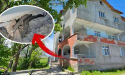 Muş'ta Bir Aile Evlerini Basan Yılanlardan Şikayetçi