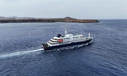 MV Hondius Gemisinde Hantavirüs Bulaşma Kaynağı Belirlendi