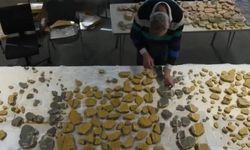 Norveç'te Tarlada Bulunan Viking Hazinesi Arkeologları Heyecanlandırdı