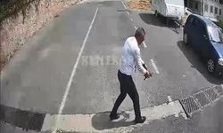Otobüs Şoförü Kaplumbağayı Ezilmekten Kurtardı