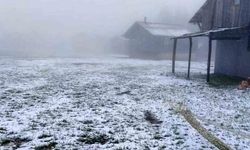 Sakarya'nın Yüksek Kesimlerinde Mayıs'ta Kar Sürprizi