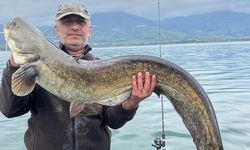 Sapanca Gölü'nde 122 Santimetrelik Dev Yayın Balığı Avlandı