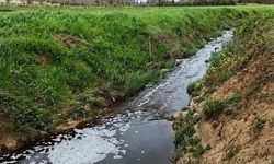Sinop'ta Çevre Kirliliği Yapan Atık Tesisi İçin 1.6 Milyon TL Ceza Kesildi