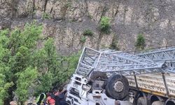 Şırnak'ta Elektrik Direği Yüklü Kamyon Şarampole Yuvarlandı: Sürücü Hayatını Kaybetti