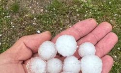 Sivas'ta Fındık Büyüklüğünde Dolu Yağışı Meyve Ağaçlarına Zarar Verdi
