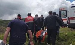 Sivas'ta Mantar Toplarken Ayı Saldırısına Uğrayan Vatandaş Yaralandı