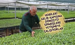 Tokat'ta İki Emeklinin Fide Üretimi 40 Metrekareden 4 Bin Metrekareye Ulaştı