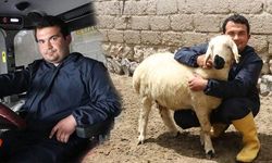 Ümit Elli, Hayvan Sevgisiyle Sağlığına Kavuşup Modern Tarım ve Hayvancılığa Başladı