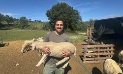 Üniversite Mezunu Genç, Şehirden Kaçıp Muğla'da Hayvancılığa Başladı