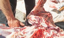 Uzman Diyetisyenden Kurban Eti Tüketiminde Ölüm Sertliği Uyarısı