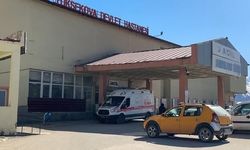 Yüksekova'da Yaylada Patlama: 1 Genç Yaralı, 3 Koyun Telef Oldu