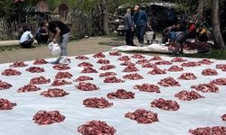 Yüksekova'da Yüzyıllık Toplu Kurban Kesimi Geleneği Devam Ediyor