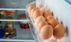 Yumurtaların Buzdolabında Doğru Saklama Yöntemi