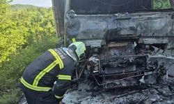 Zonguldak'ta Seyir Halindeki Kamyon Yangında Hasar Gördü