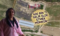 Adana Feke'de Kadın Girişimciler Seracılıkta Yeni Gelir Kapısı Oluşturdu
