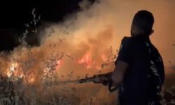 Adıyaman'da Buğday Tarlasında Çıkan Yangın 45 Dönümü Küle Çevirdi