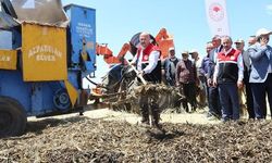 Adıyaman'da Firik Bulgurunun Geleneksel Hasadı Başladı