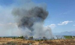 Aksu'daki Orman Yangınına Çok Yönlü Müdahale