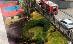 Alaplı'da KYK Yurdu Bahçesinde Çıkan Yangın Korkuttu