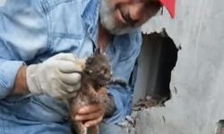 Bacaya düşen minik kedinin kurtarıldığı anlar... 🐈‍⬛