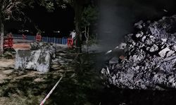 Bakırköy Çırpıcı Deresi'nde Toplu Balık Ölümleri: AFAD İnceleme Başlattı