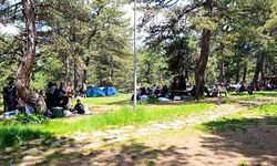 Bilecik'in Küçükelmalı Tabiat Parkı Hafta Sonları Yoğun İlgi Görüyor