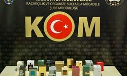 Bilecik'te Kaçakçılık Operasyonunda 1 Kişi Gözaltına Alındı