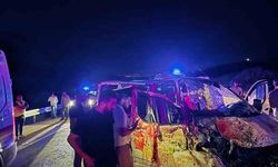 Bingöl'de Panelvanın Ata Çarpması Sonucu 1 Kişi Öldü, 2 Kişi Yaralandı