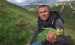 Bitlis'te Baharın Lezzeti: Kilosu 50 TL'den Çiriş Otu Toplanıyor