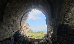 Bitlis'teki Tarihi Lale Paşa Hanı Yok Olma Tehlikesiyle Karşı Karşıya