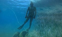 Bodrum'da 40 Metre Derinlikte Deniz Çayırı Keşfi