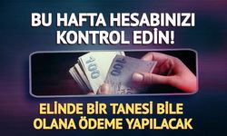 Bu Hafta 7 Şirketten Temettü Ödemesi