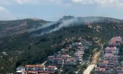 Burhaniye Pelitköy'deki Zeytinlik Yangını Kontrol Altına Alındı
