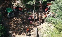 Bursa'da Orman İşçileri Tomrukları Hava Hattıyla Taşıyor