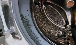 Çamaşır Makinesindeki Küfü Doğal Yöntemlerle Temizleyin