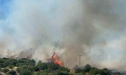 Çanakkale Ezine'de Bozuk Orman Sahasında Yangın