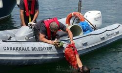 Çanakkale Yat Limanı'nda Dünya Çevre Günü Etkinliği: Deniz Temizliği Yapıldı