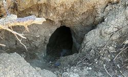 Çanakkale'de Orman Yangını Sonrası Ortaya Çıkan Tümülüs Definecilerin Hedefinde