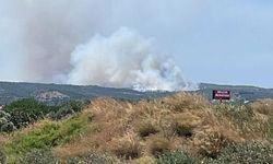 Çeşme'de Çöplük Yangını Makilik Alana Sıçradı