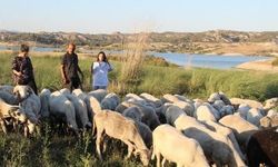 Çobanlık Yaparken İki Dili Öğrendi, Üniversiteyi Birincilikle Bitirdi