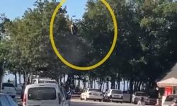 Çorum'da Paraşütçünün Ağaca Takılması Kameraya Yansıdı