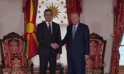 Cumhurbaşkanı Erdoğan, Kuzey Makedonya Başbakanı Mickoski'yi Dolmabahçe'de Kabul Etti