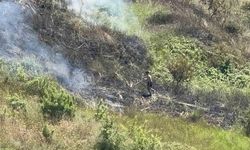 Darıca'da Otluk Alanda Çıkan Yangın Vatandaşların Müdahalesiyle Söndürüldü