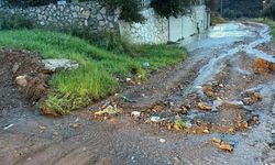 Datça'da Bir Yıl Boyunca Bakımı Yapılmayan Yol Sorunu
