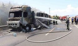 Denizli'de Beyaz Eşya Yüklü Tırda Çıkan Yangın Tahıl Tarlalarına Sıçradı