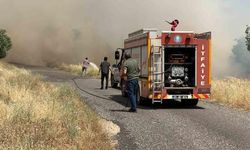 Diyarbakır Eğil'de Buğday Tarlasında Yangın: Yüzlerce Dönüm Alan Zarar Gördü