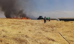 Diyarbakır'da Hasadı Tamamlanmış Arazide Yangın Çıktı
