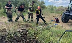 Diyarbakır'da Su Kuyusuna Düşen Yaban Domuzu Kurtarıldı